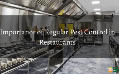 Restaurants Pest Control Service in Dhaka