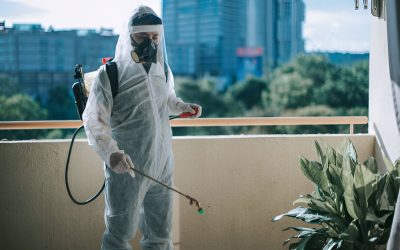 How to use eco-friendly pest control methods in Dhaka